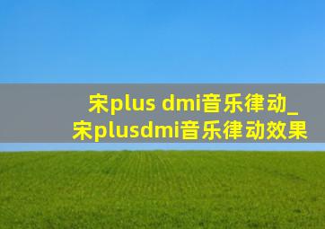 宋plus dmi音乐律动_宋plusdmi音乐律动效果